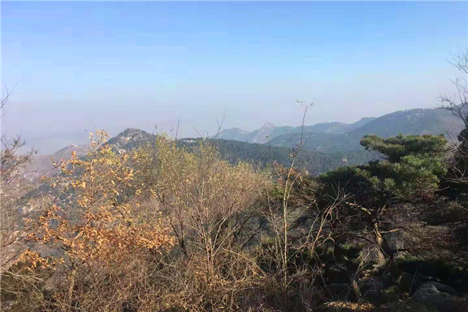 离山东枣庄最近沂蒙红色教育基地 离山东枣庄最近沂蒙红色教育基地