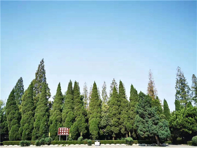 江苏徐州碾庄红色教育基地简介