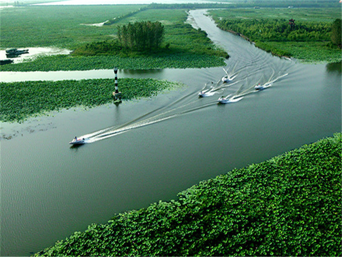 枣庄红色教育基地周边景点：滕州微山湖红荷湿地简介