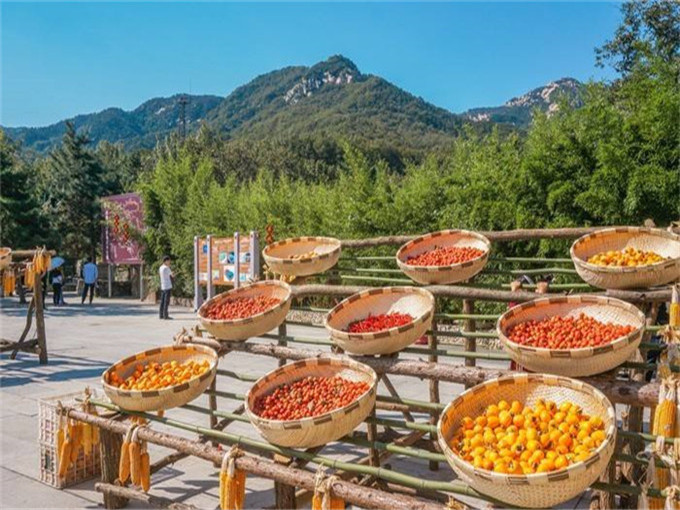 沂蒙红色影视基地孟良崮沂蒙山根据地二日游 沂蒙红色影视基地孟良崮沂蒙山根据地二日游