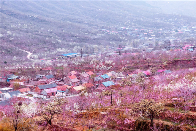 临沂九间棚红色教育基地简介-九间棚旅游攻略